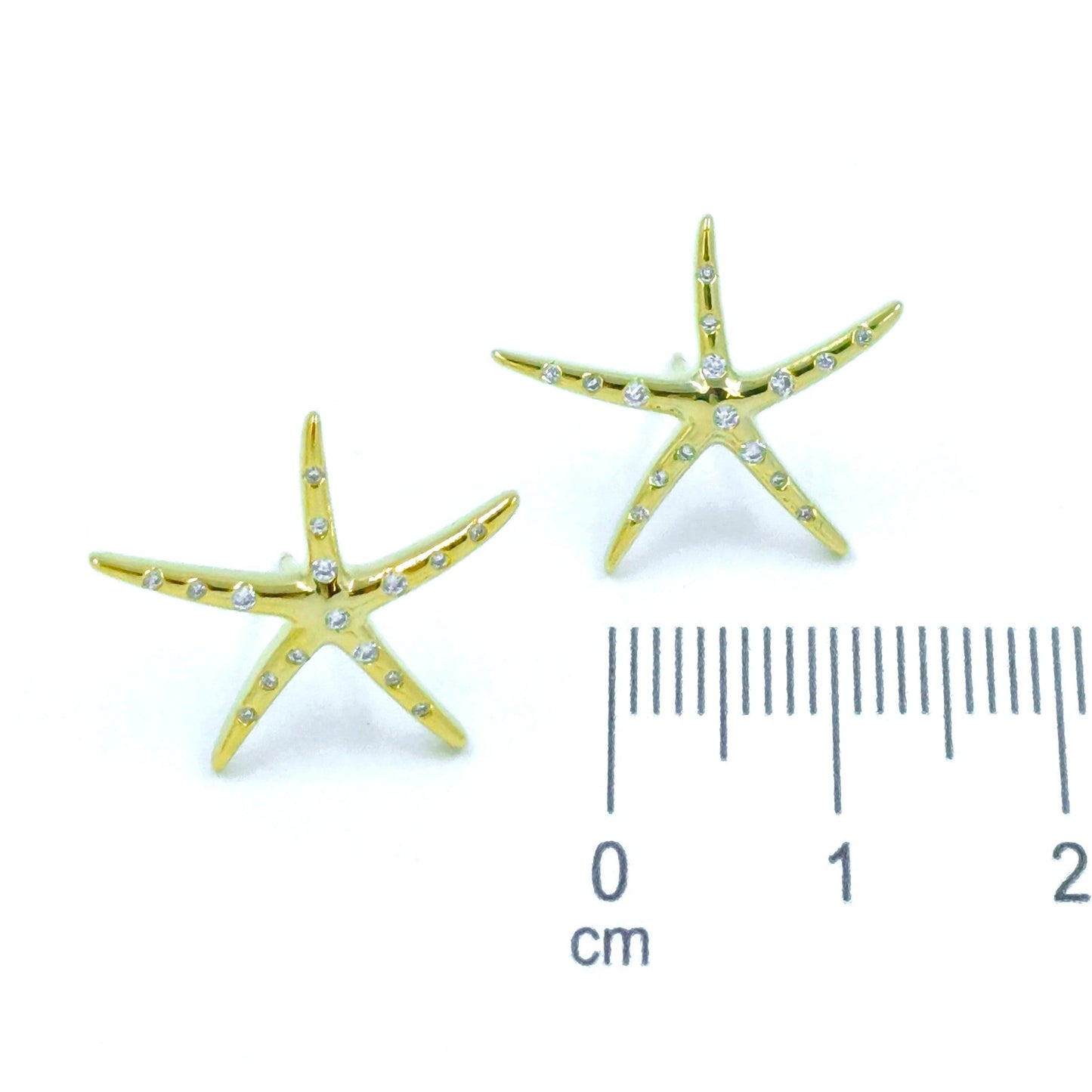 Arete estrella de mar microzircón