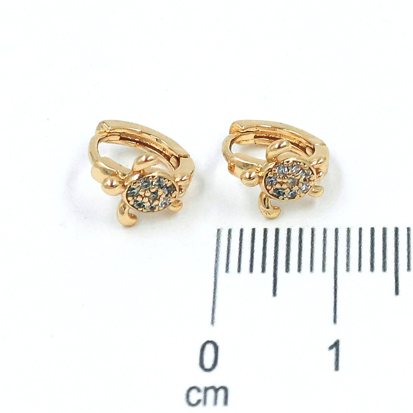 Cdga pequeña mini tortuga