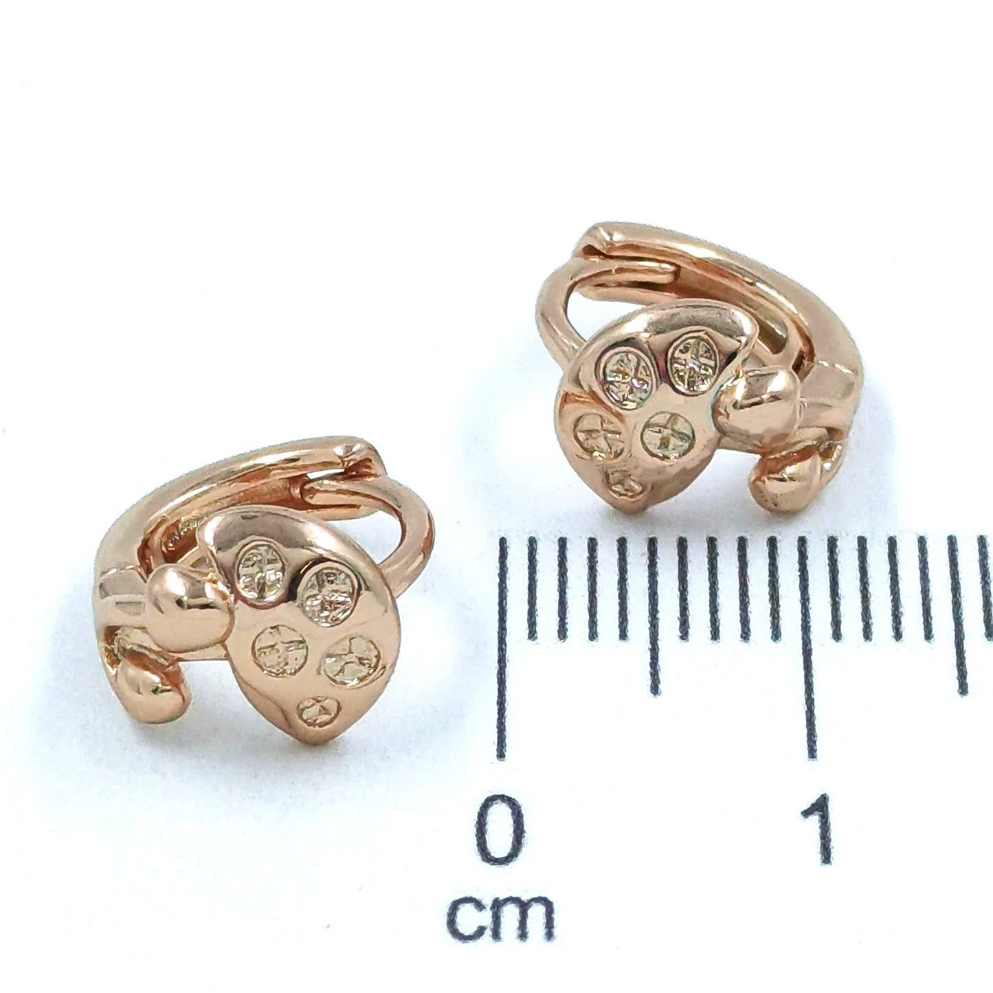 Candonga pequeña honguito