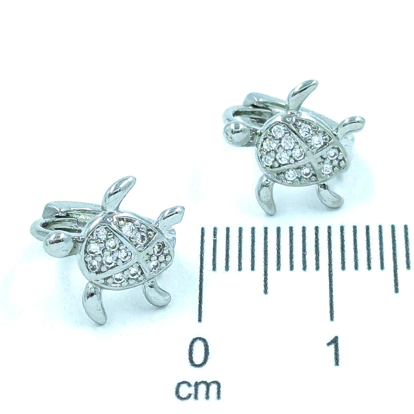 Candonga pequeña tortuga