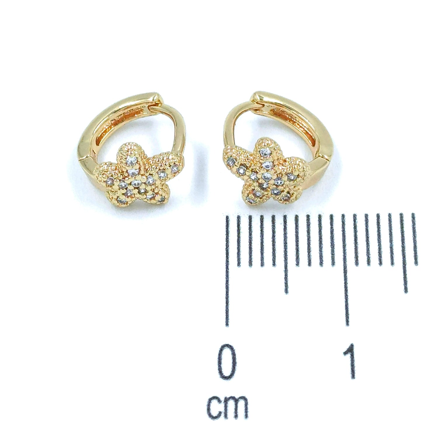 Candonga pequeña estrella de mar