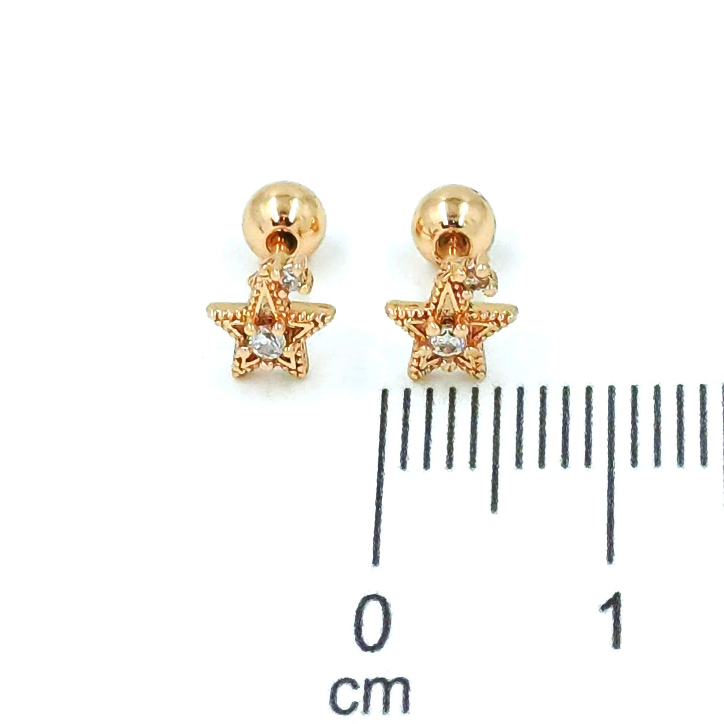 Topo seguridad estrella