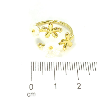 Anillo jardín