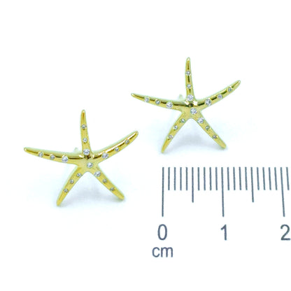 Arete estrella de mar microzircón