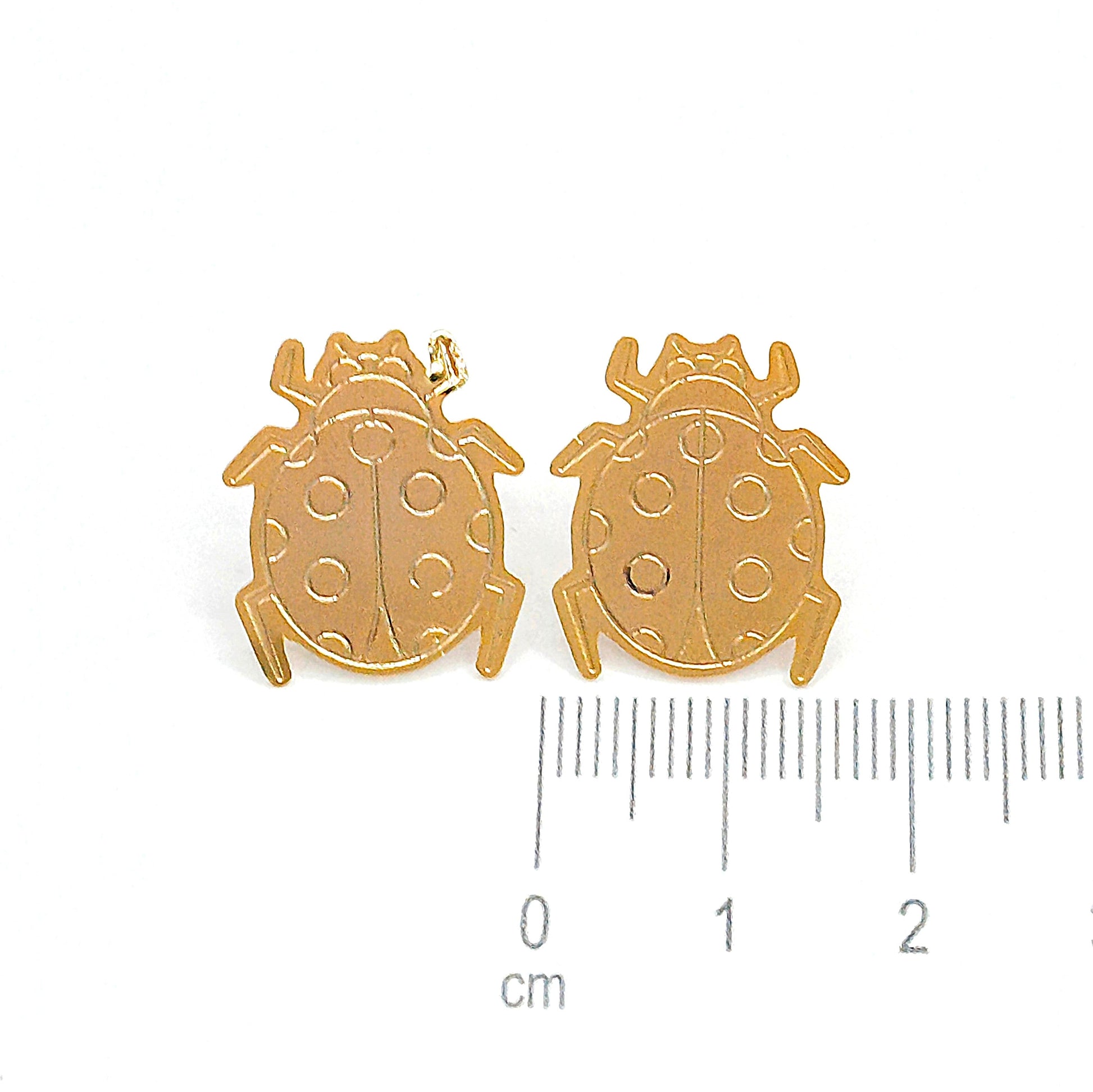 Topo bronce insecto Amulí