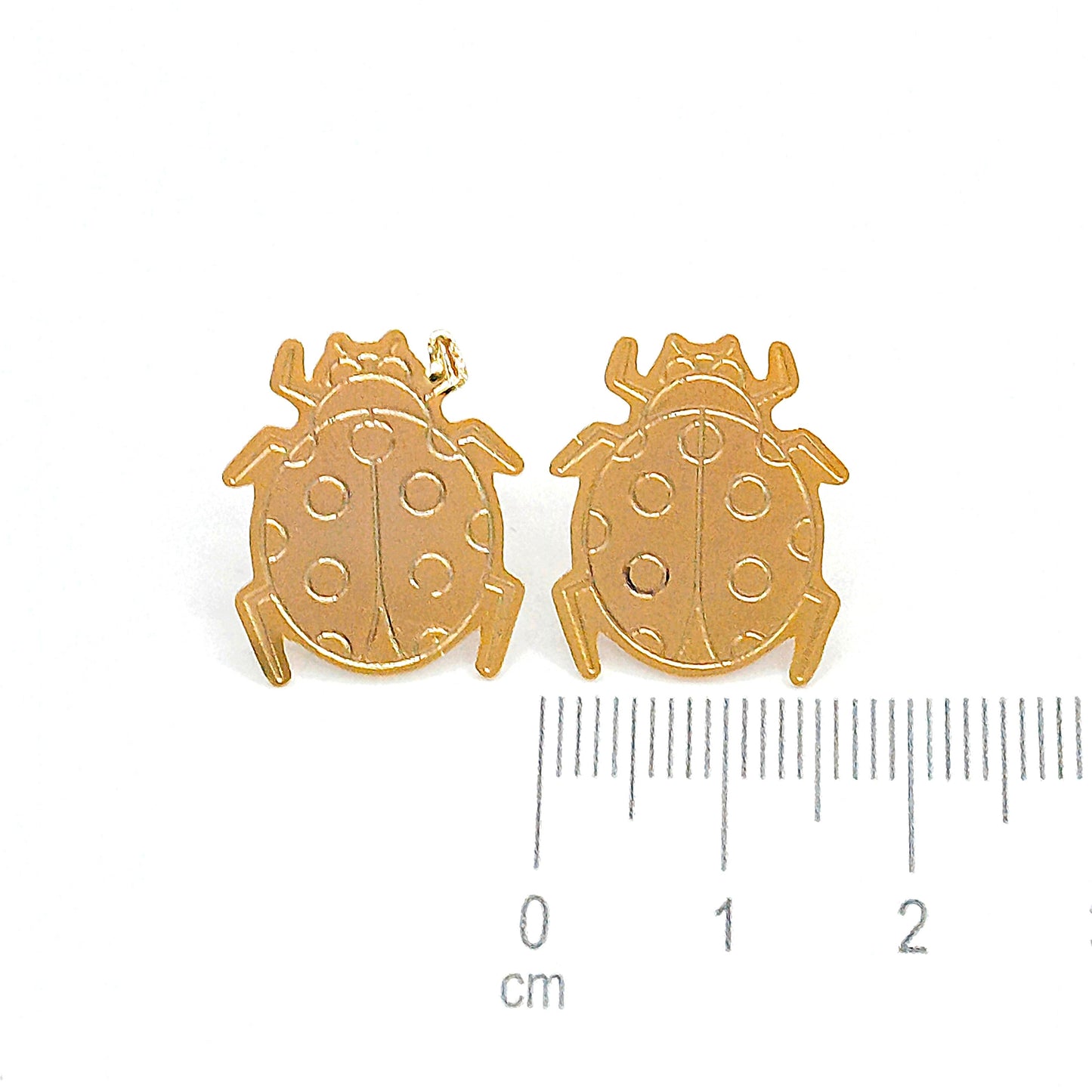 Topo bronce insecto Amulí