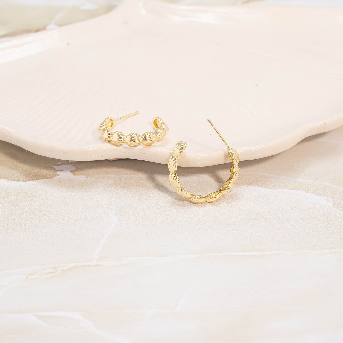 Candonga grande conchas