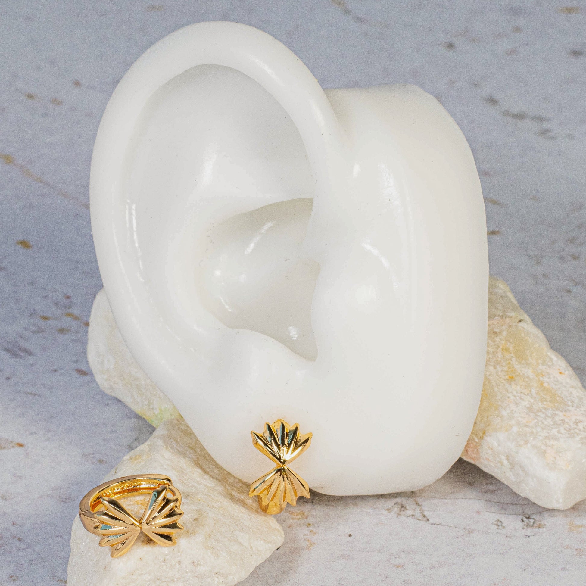 Cdga pqa moño liso (1cm)