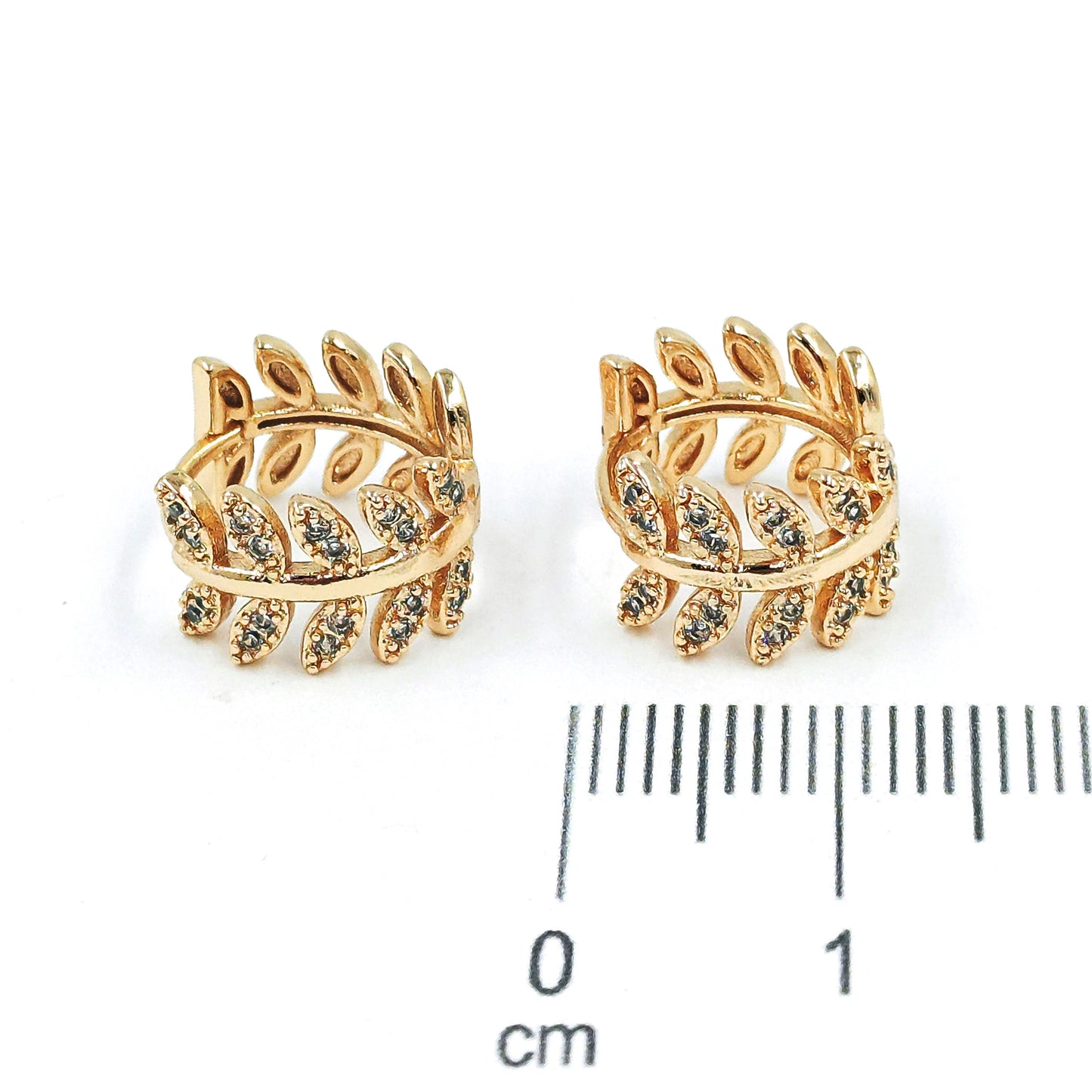 Cdga pequeña espiga microzircones