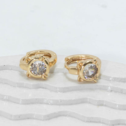 Cdga pequeña gato zircón