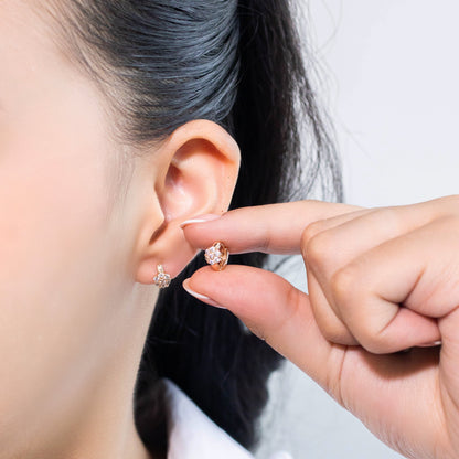 Cdga pequeña microzircones 