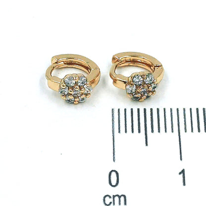 Cdga pequeña microzircones