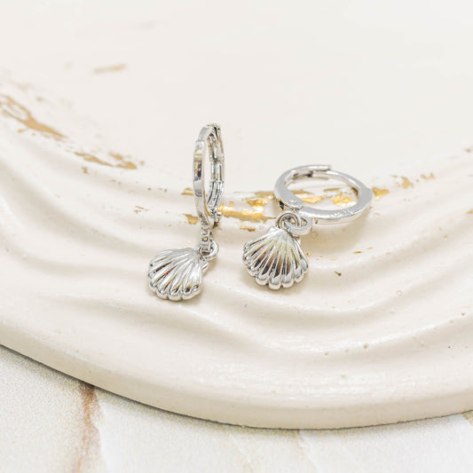 Candonga pequeña concha