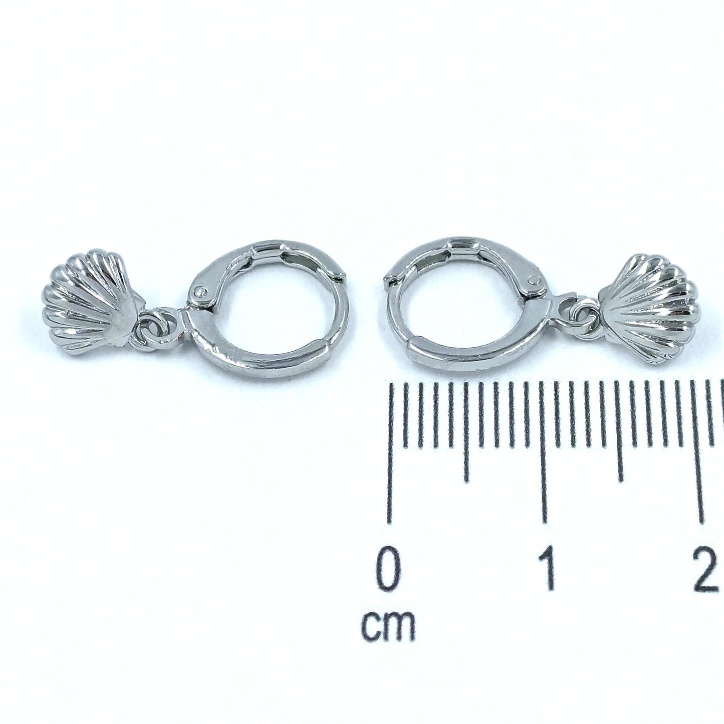 Candonga pequeña concha