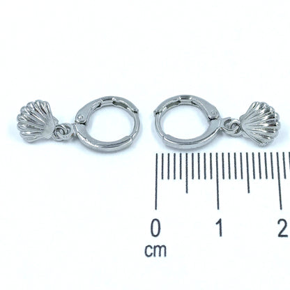 Candonga pequeña concha