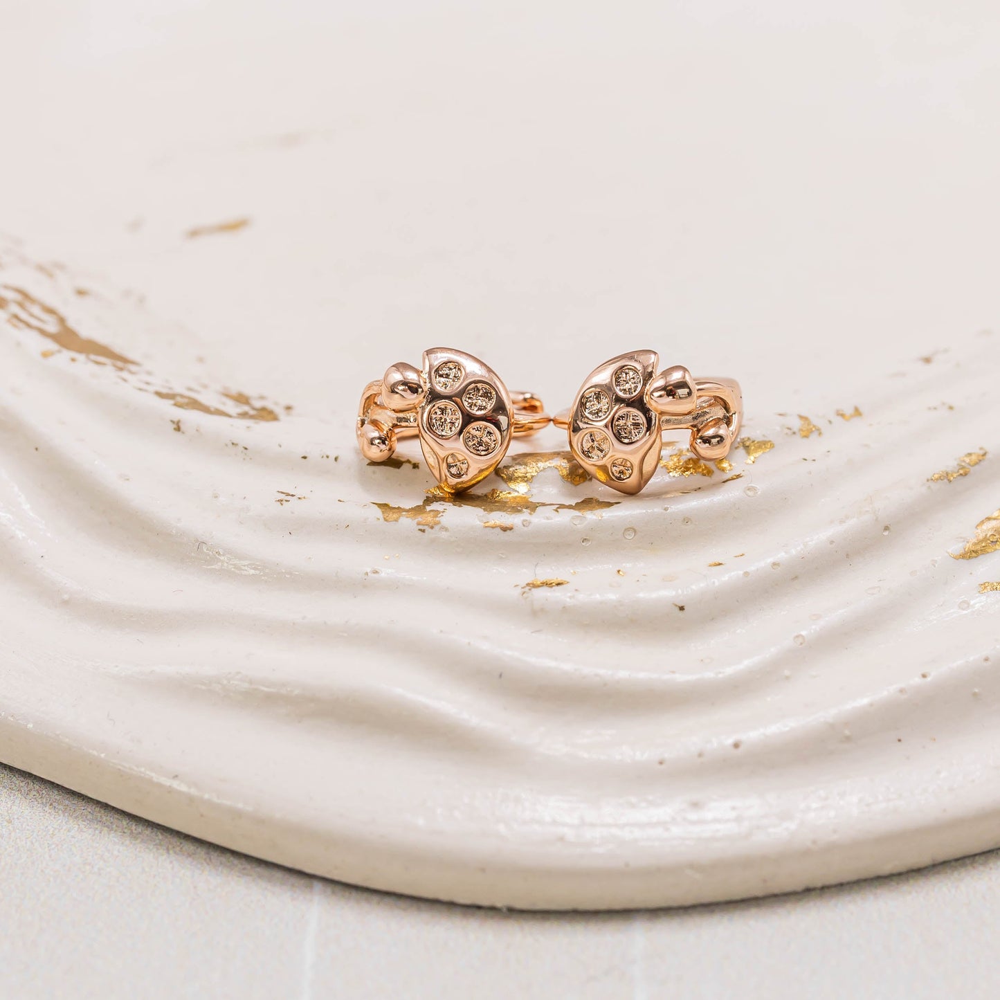 Candonga pequeña honguito