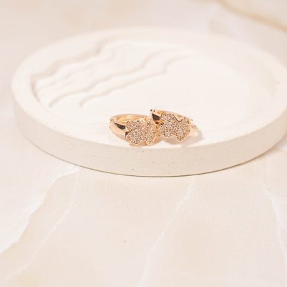 Candonga pequeña oso tous