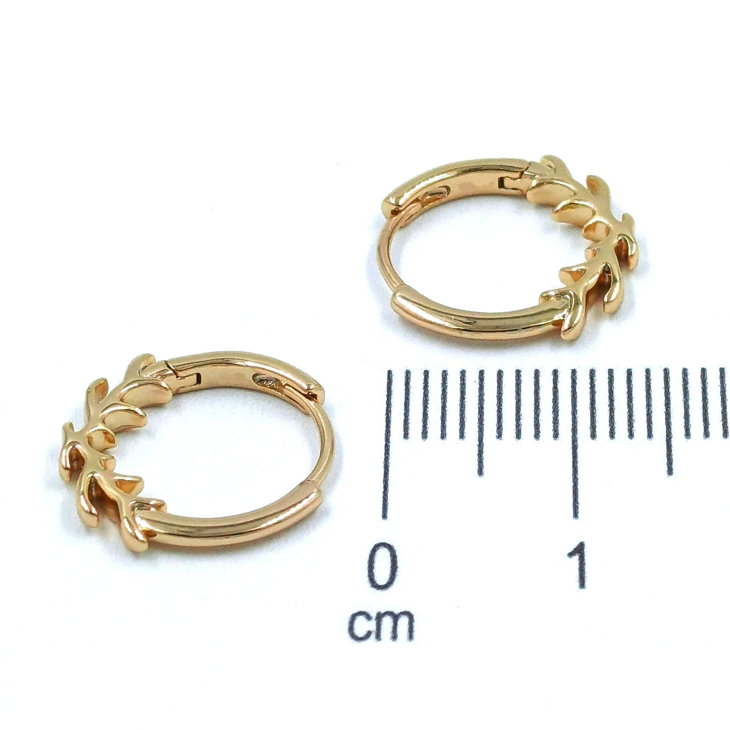 Candonga pequeña espiga