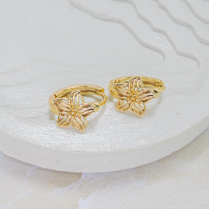 Accesorios CoverGold Amulí