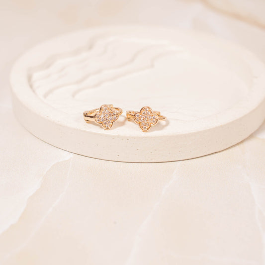 Candonga pequeña van cleef microzircon Amulí