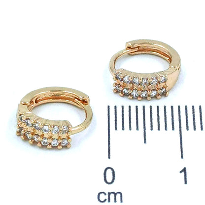 Candonga pequeña microzircón