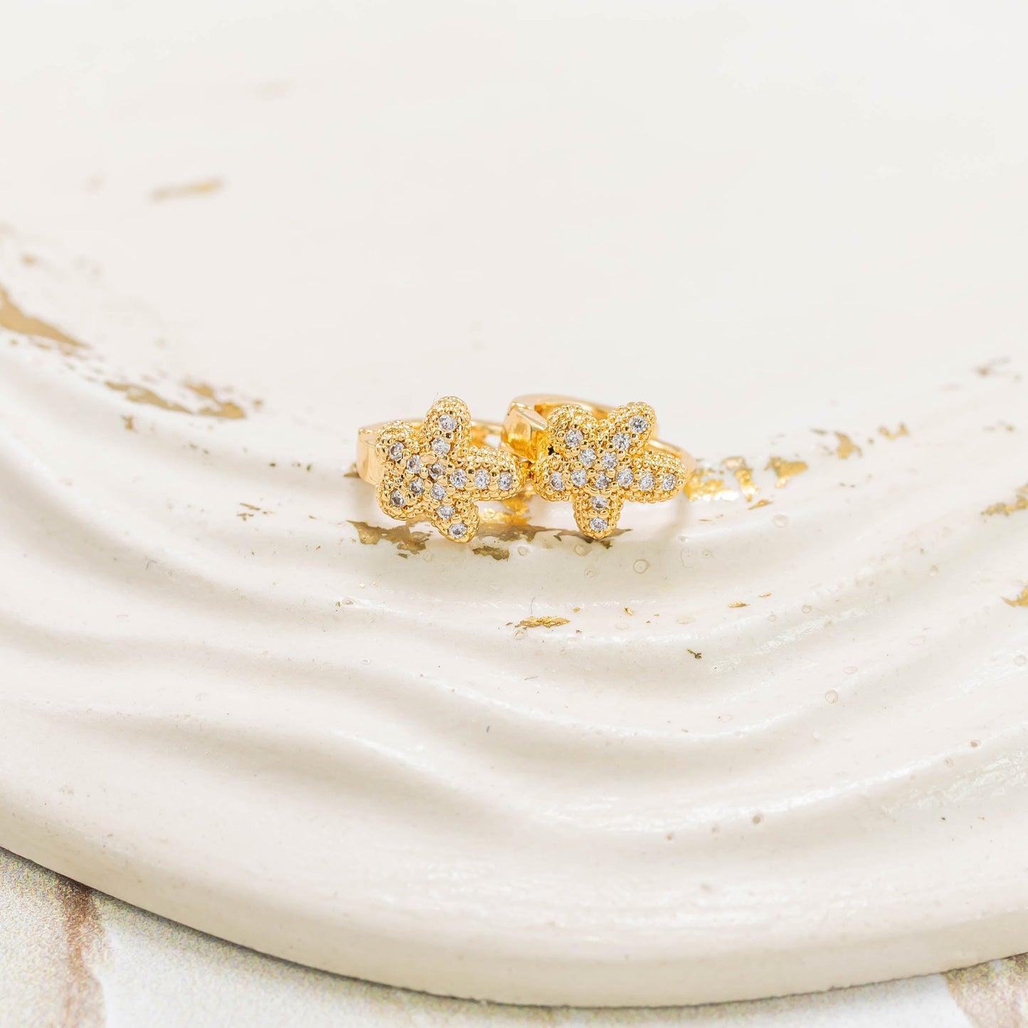 Candonga pequeña estrella de mar