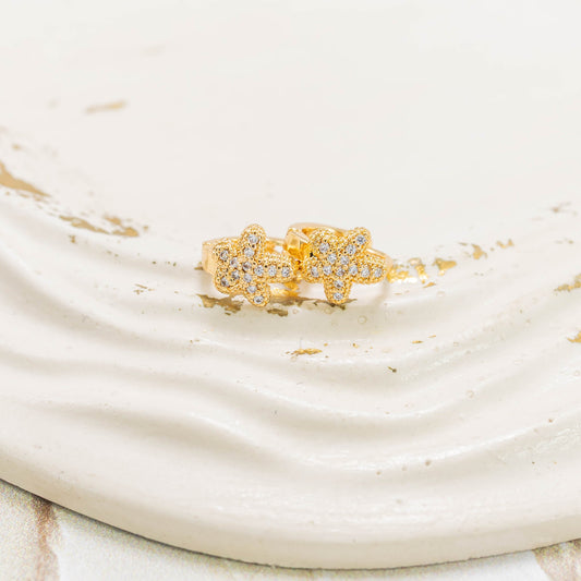 Candonga pequeña estrella de mar