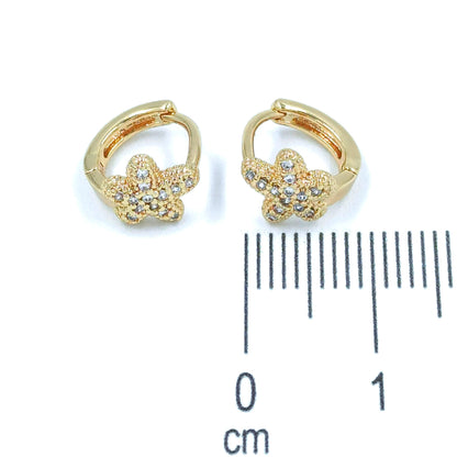 Candonga pequeña estrella de mar