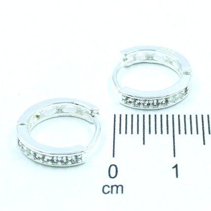 Caga pqa microzircones