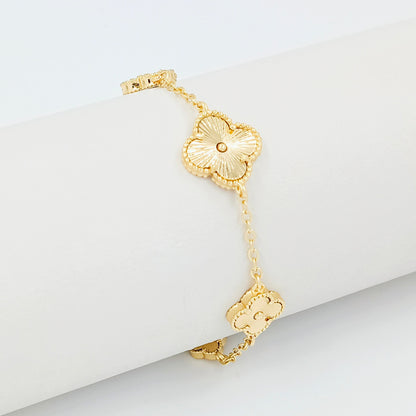 Accesorios CoverGold