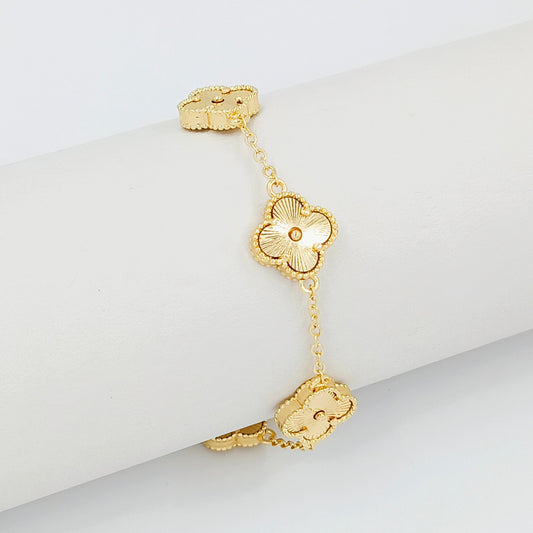 Accesorios CoverGold