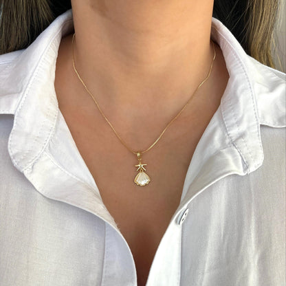 Collar rodio concha estrella Amulí