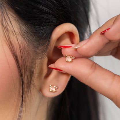 Topo gatito cristal  Amulí