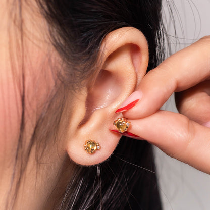 Topo leoncito cristal  Amulí