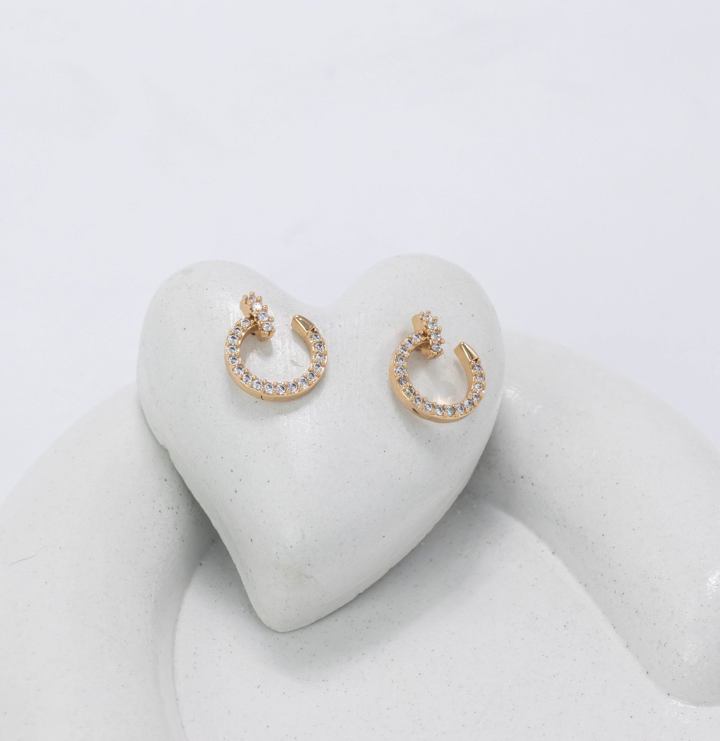 Topo Cartier microzircones