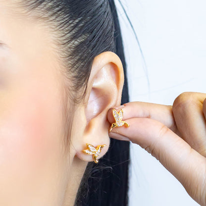 Topo colibrí  Amulí