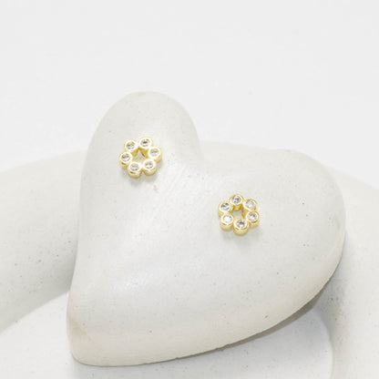 Topo aro microzircones