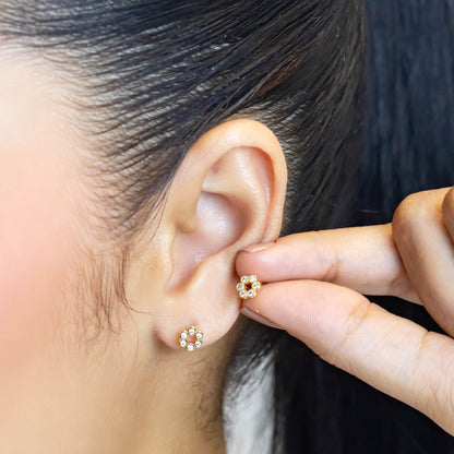 Topo aro microzircones 