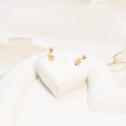 Topo seguridad estrella