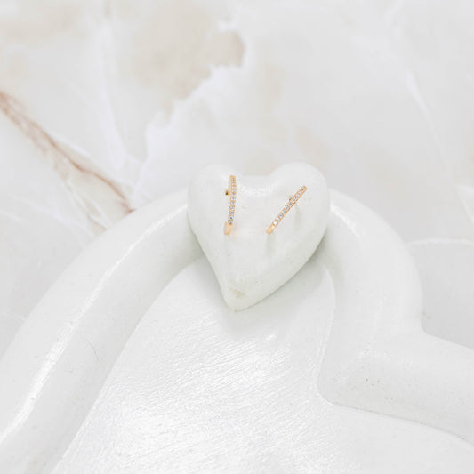 Topo candonga microzircón