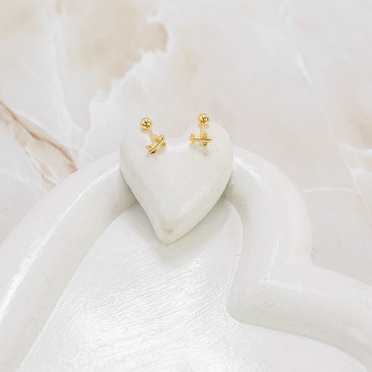 Topo seguridad avión