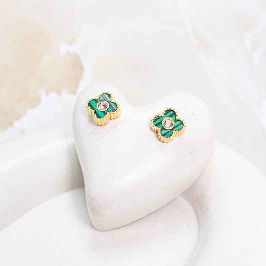 Topo CoverGold Amulí