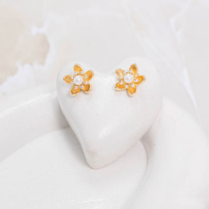 Topo CoverGold Amulí