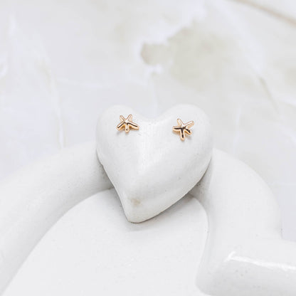 Topo mini estrella de mar