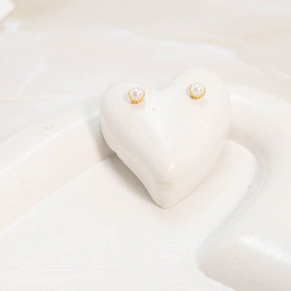 Topo perla #4 Amulí