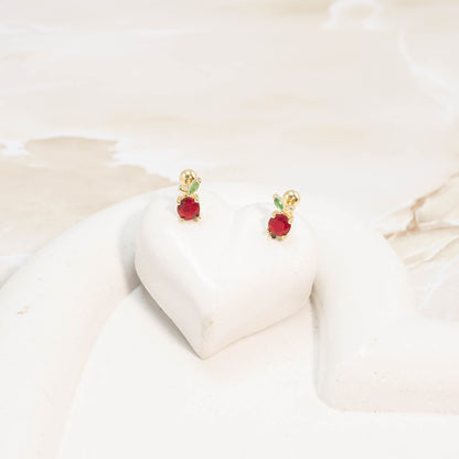 Topo seguridad manzanita