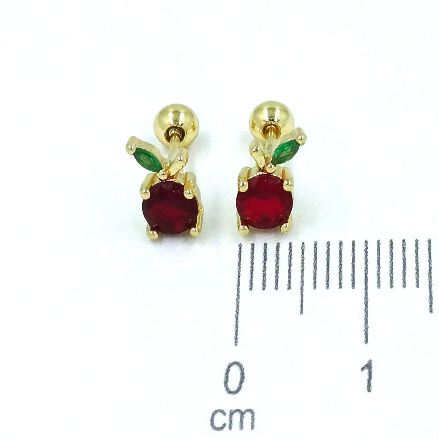 Topo seguridad manzanita