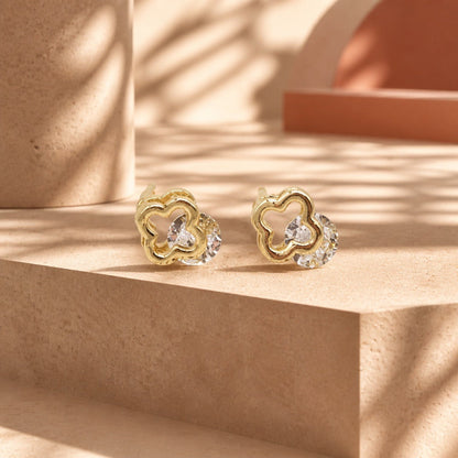 Topo van cleef