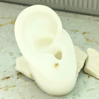 Topo van cleef  Amulí