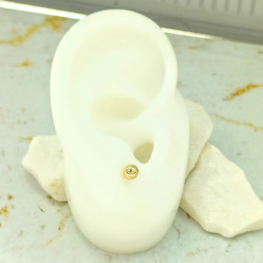 Topo van cleef  Amulí